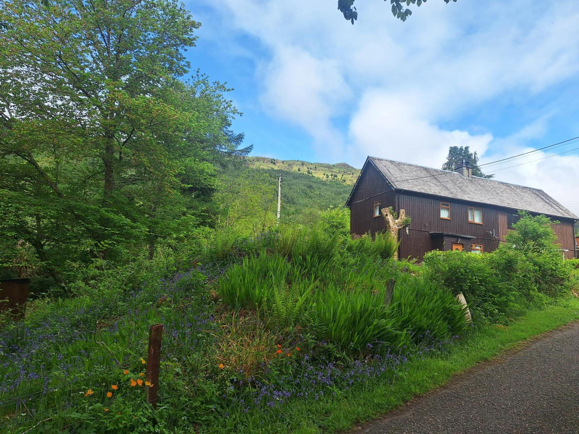 Twin Deer Chalet