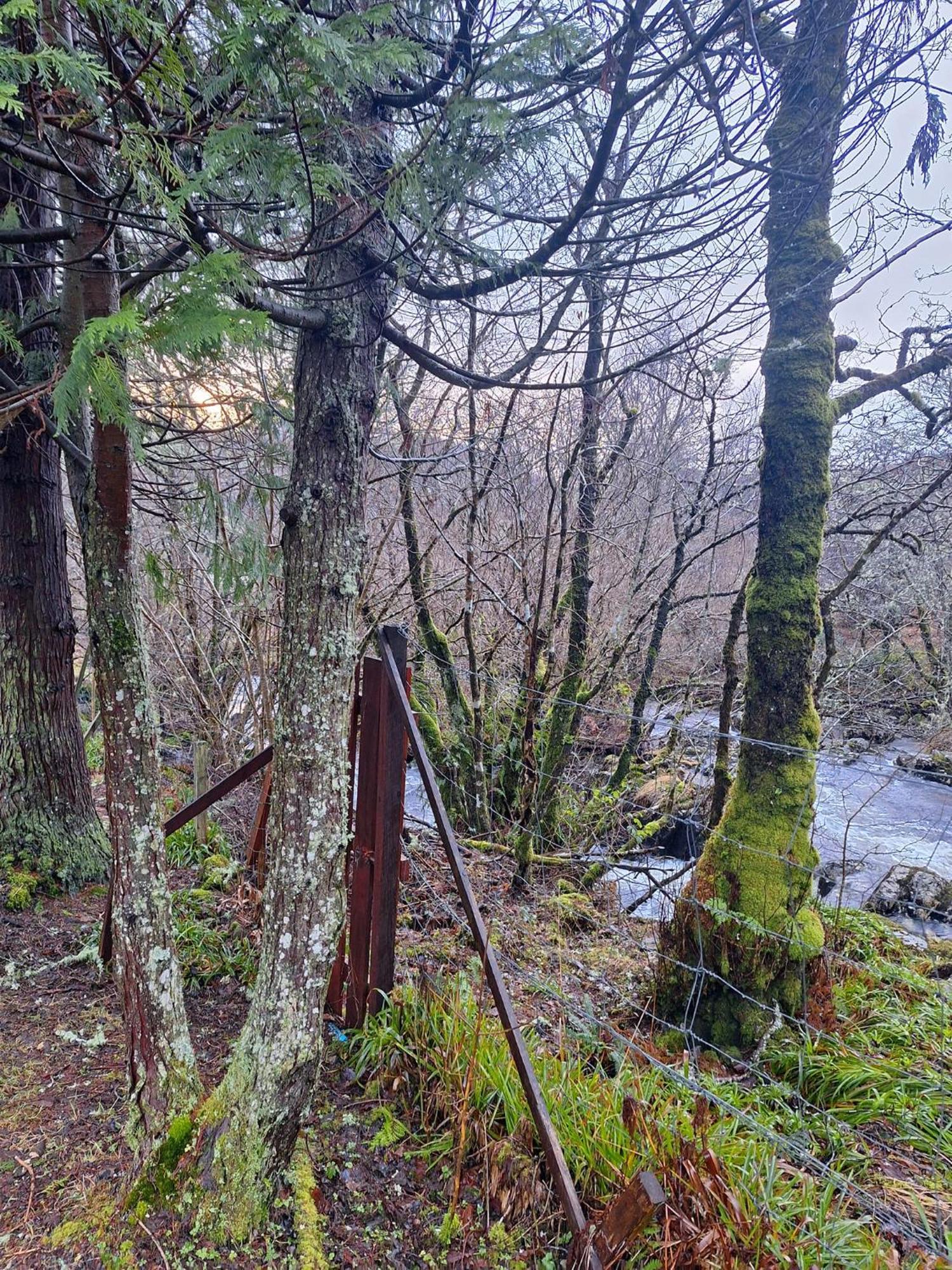 Twin Deer Chalet