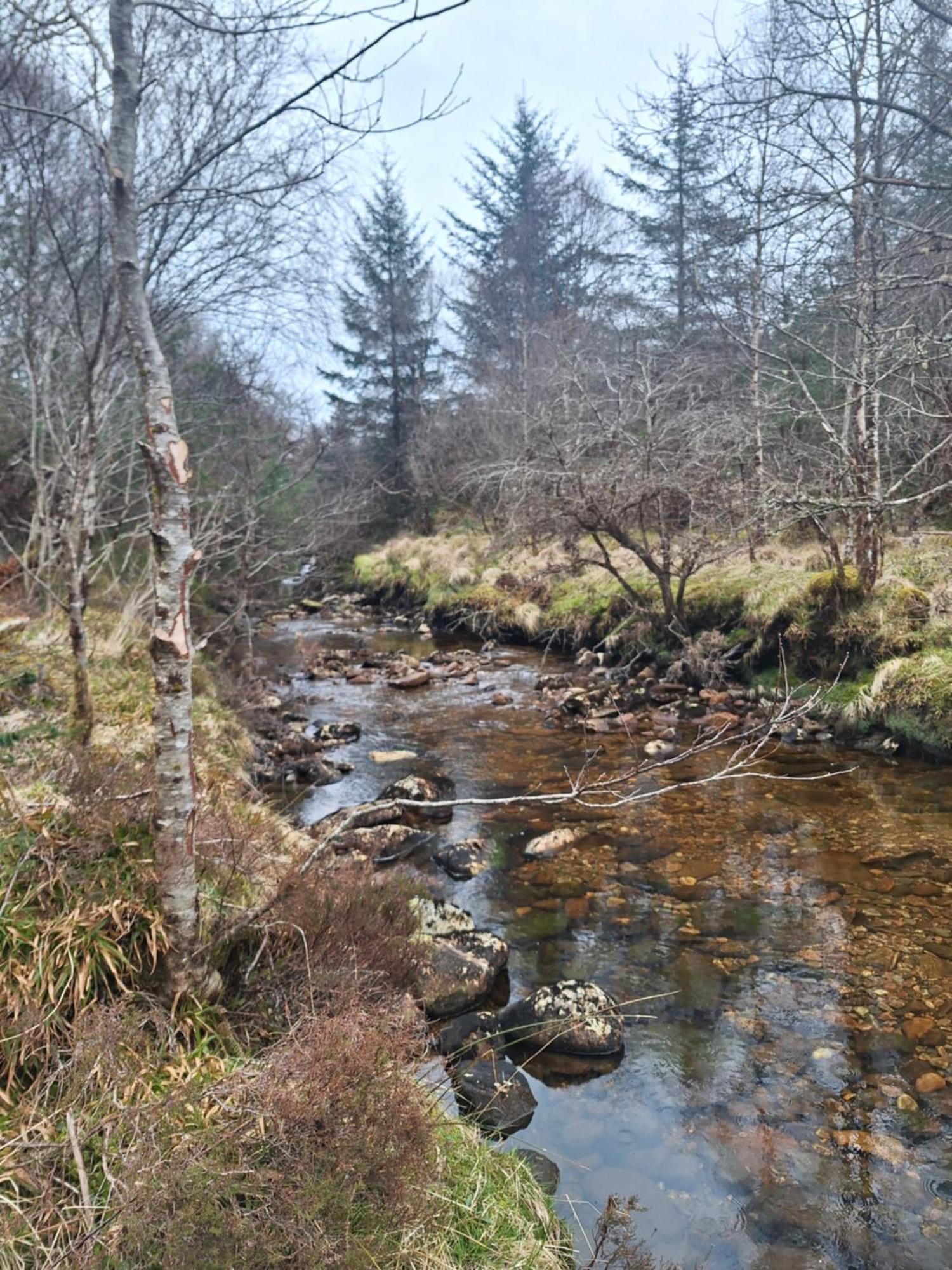 Twin Deer Chalet