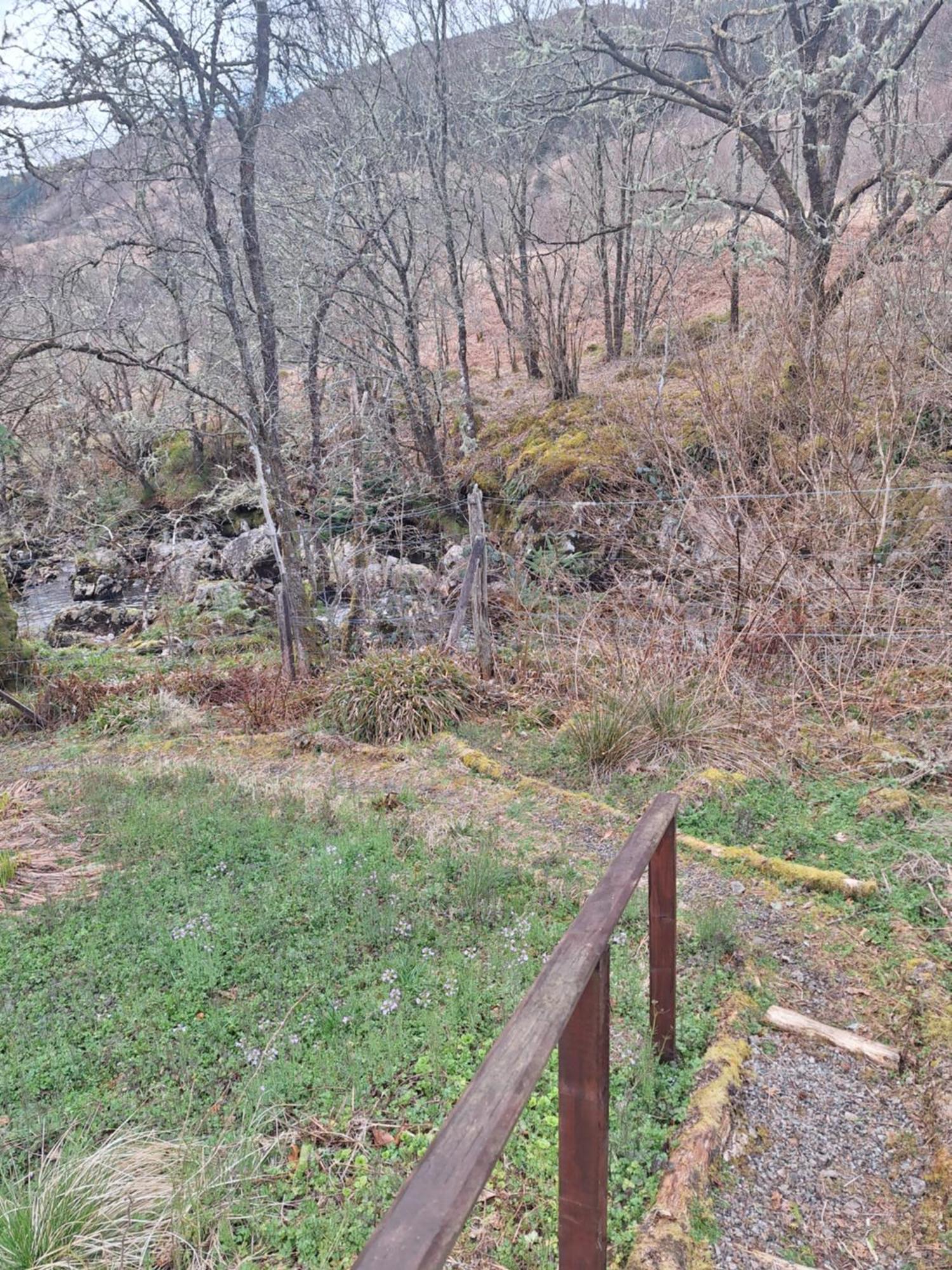 Chalet Twin Deer